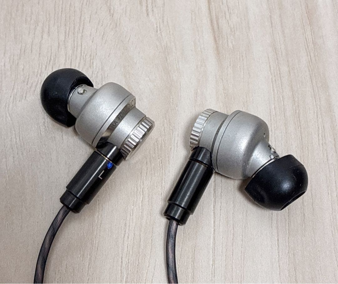 JVC KENWOOD In-Ear Earphones HA-FD01W/Box Tested Japan Used F/S