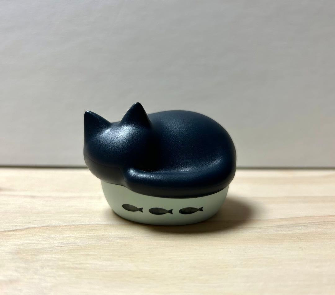 radius NEKO True Wireless Earphones Bluetooth Black HP-C28BTK Audio Player