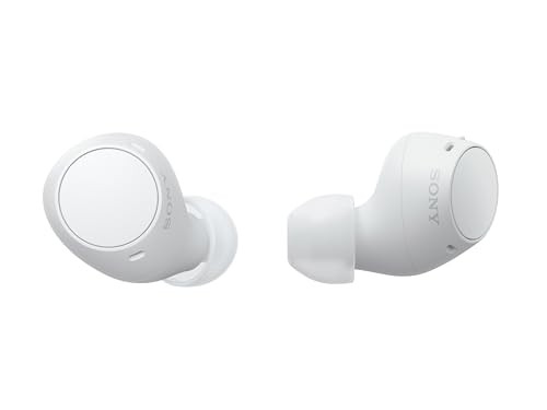 SONY WF-C510 TRULY WIRELESS IN-EAR BLUETOOTH EARBUD HEADPHONES – Scratch & Dent
