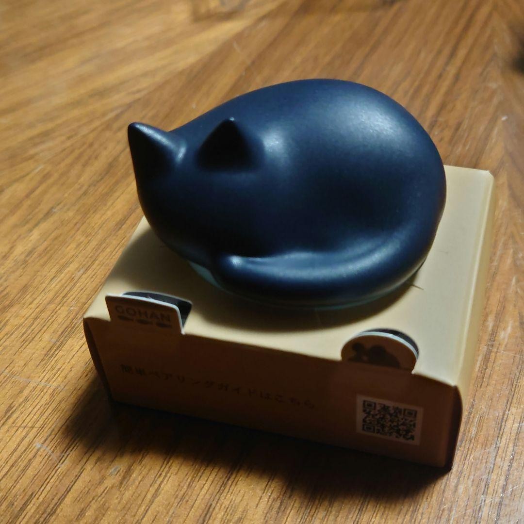 radius NEKO HP-C28BT M True Wireless Earphones Bluetooth Cat Ears Headphones New