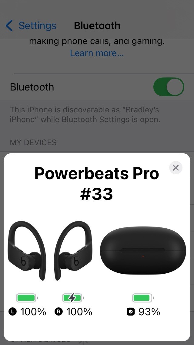 Beats by Dr. Dre Powerbeats Pro Ear-Hook #33 Wireless Headphones – BLACK