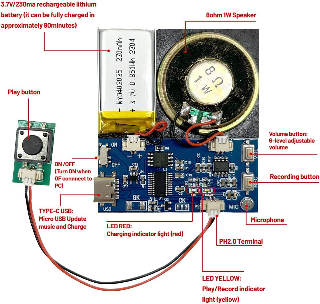 Module – 16MB Push Button Activated Sound Module with Speaker, Type-C Cable, and
