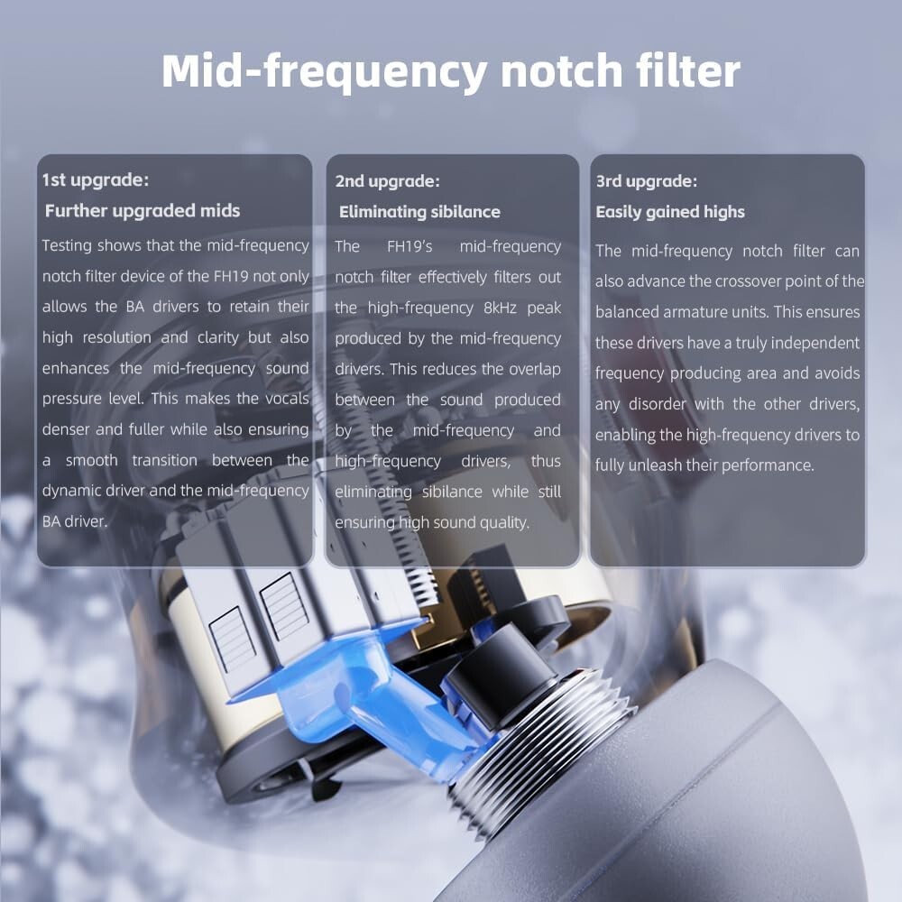 FiiO FH19 HiFi IEM Earphone, 2 Dynamic+ 6 BA Hybrid Driver IEM, Detachable MMCX