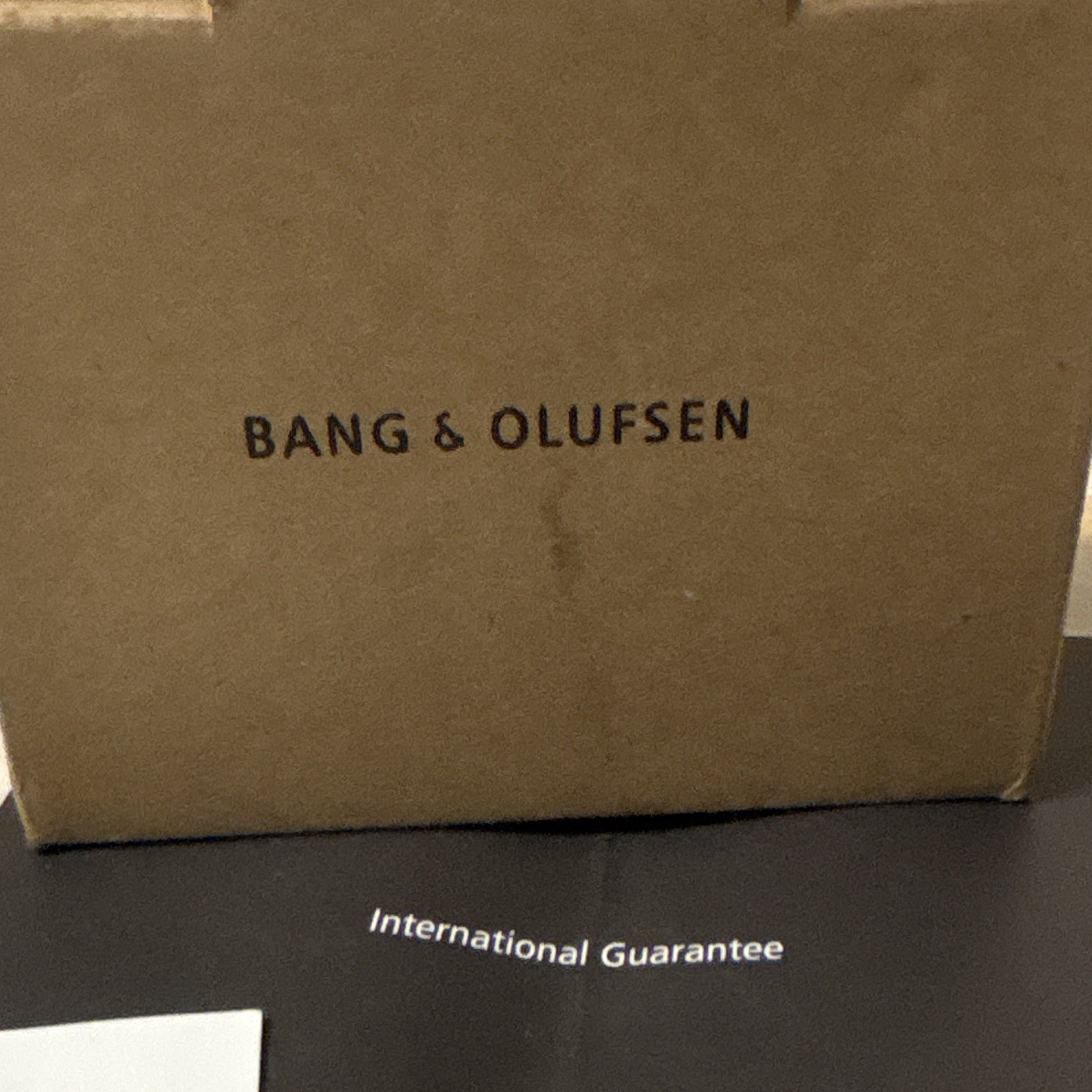 Bang & Olufsen B&O Earset Wired 3.5mm Ear-hook Earbuds Black/Silver Case