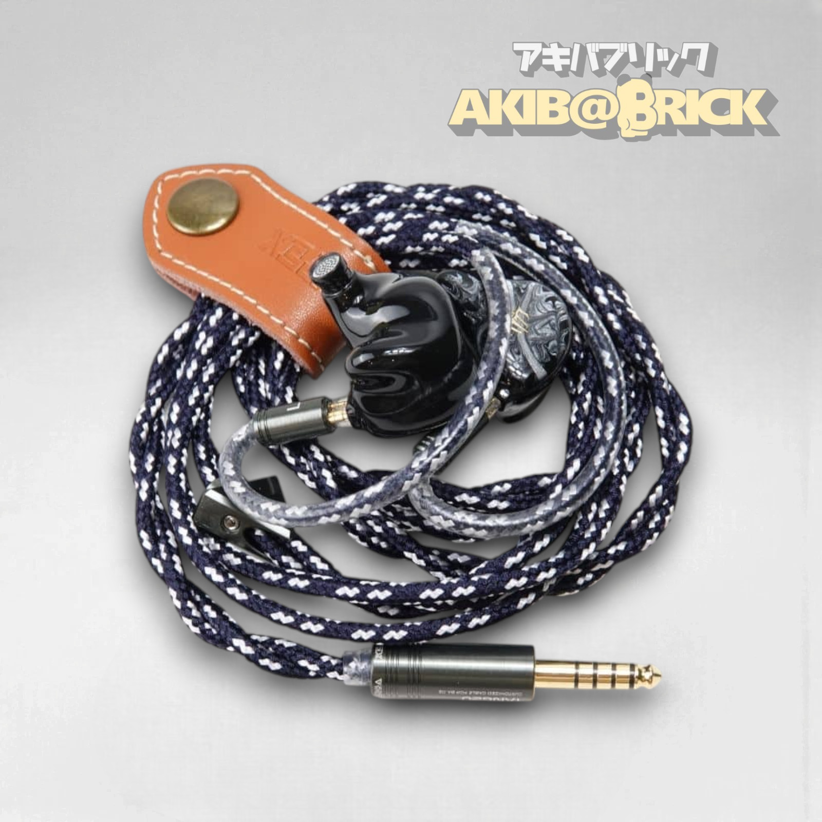 Tangzu BaJie In Ear Monitor IEM Earphone w/ Box Used Japan