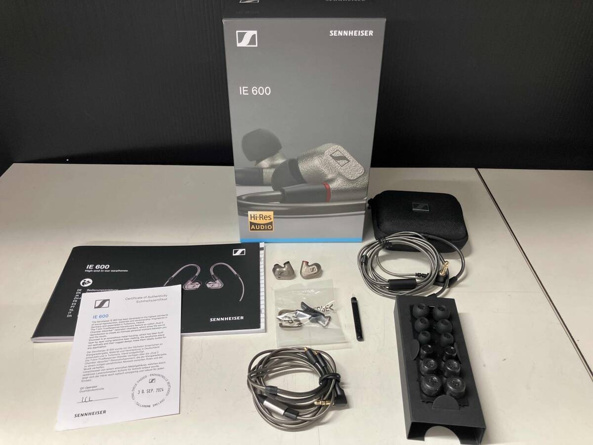 Sennheiser IE 600 Wired Audiophile Headphones Silver Confirmed Operation w/box