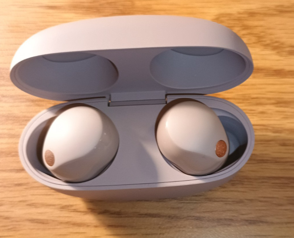 Sony WF-1000XM5 Smoky Pink True Wireless Earbuds – Used Excellent – Authentic