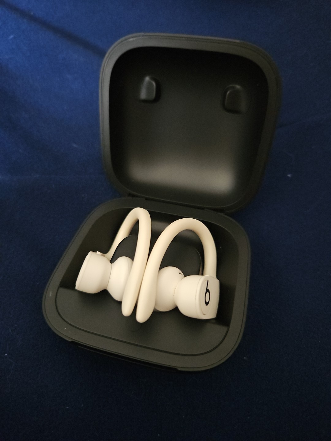 Beats by Dr Dre MV722LLA Powerbeats Pro Wireless Earphones – Ivory