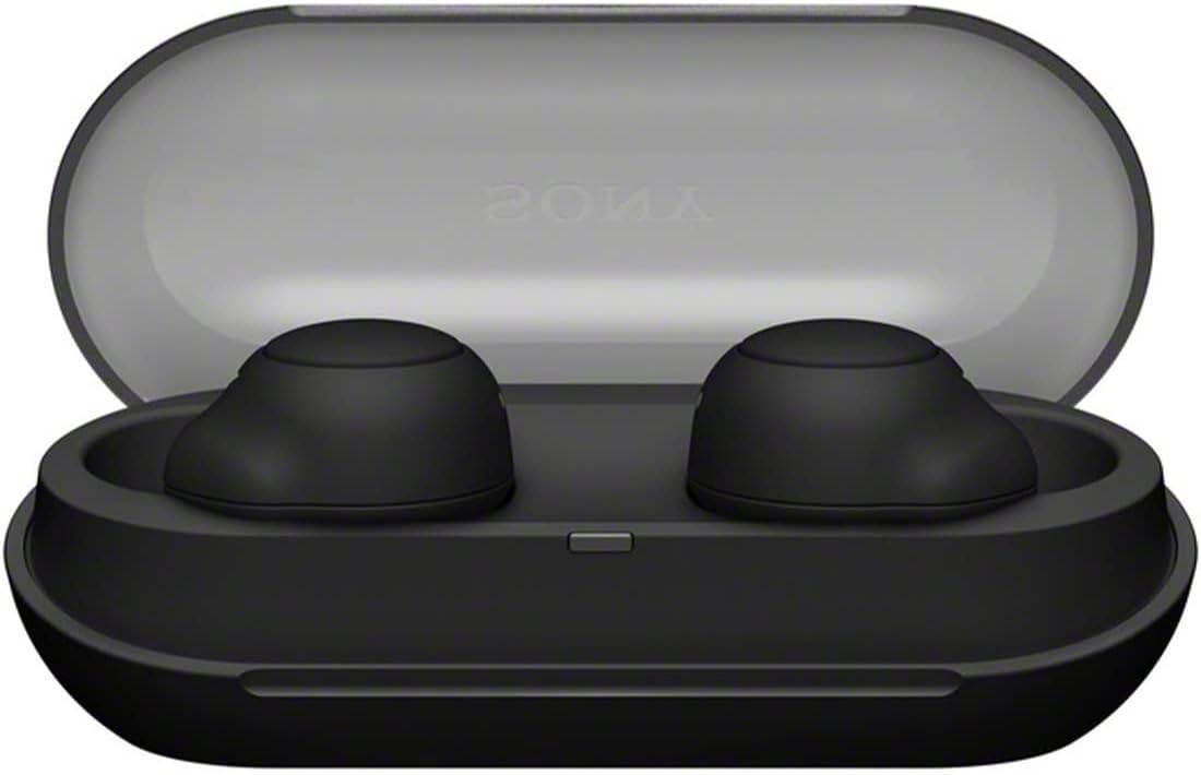 Sony WF-C500 True Wireless In-Ear Bluetooth Earbud Headphones IPX4 w Charge Case