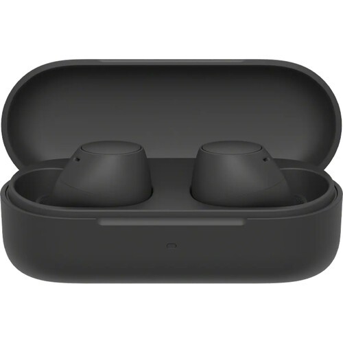 Sony WF-C510 True Wireless Earbuds (Black)