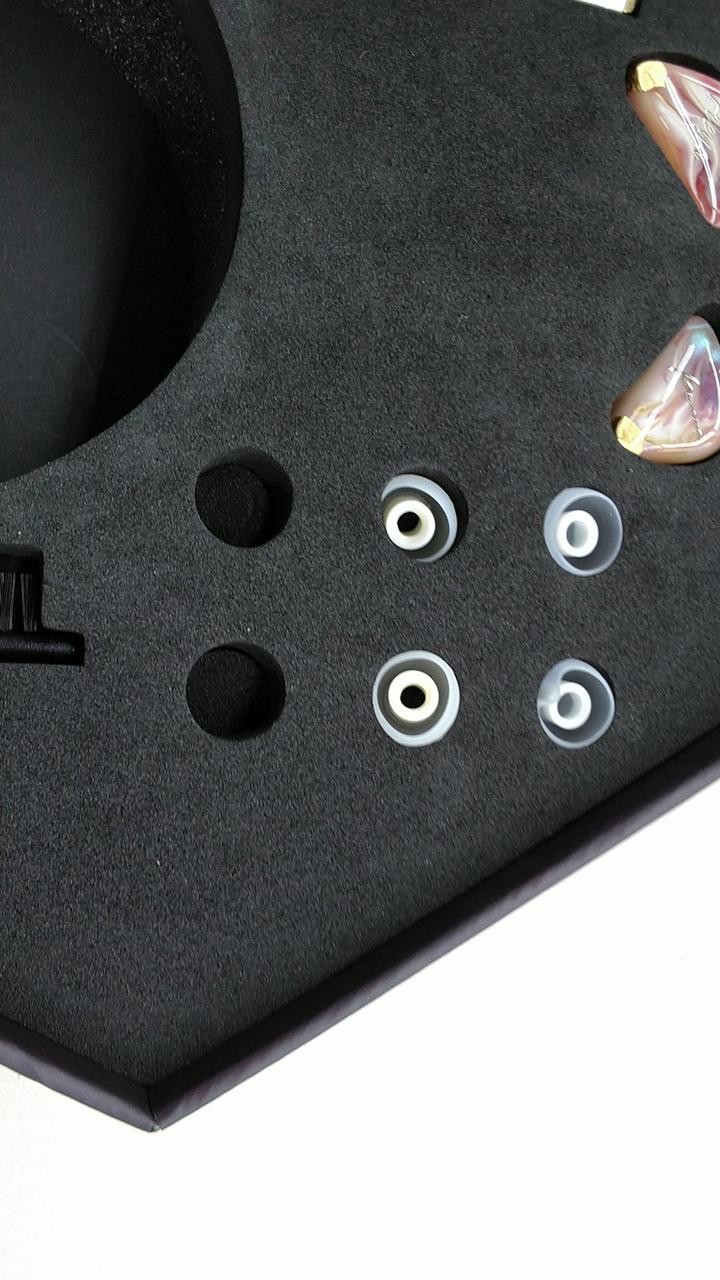 KINERA In-Ear Monitor Used