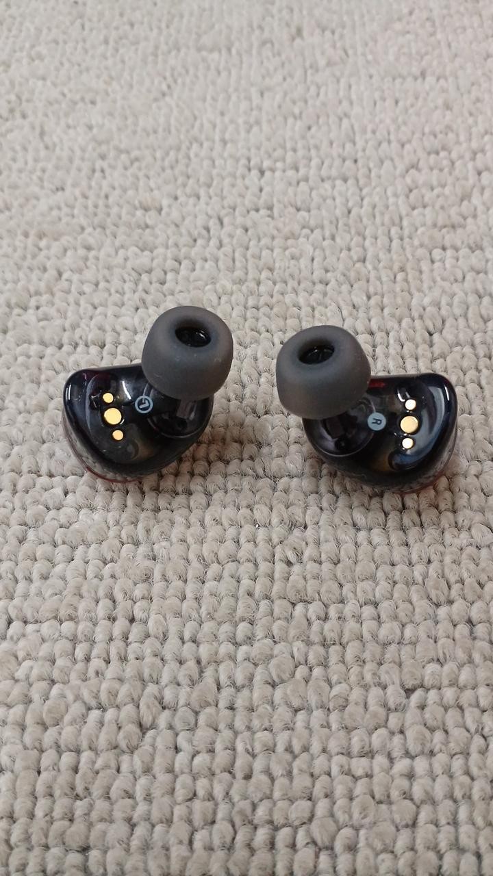 AVIOT TE-ZX1 Earphones Bluetooth 5.3 SBC AAC LDAC Compatible